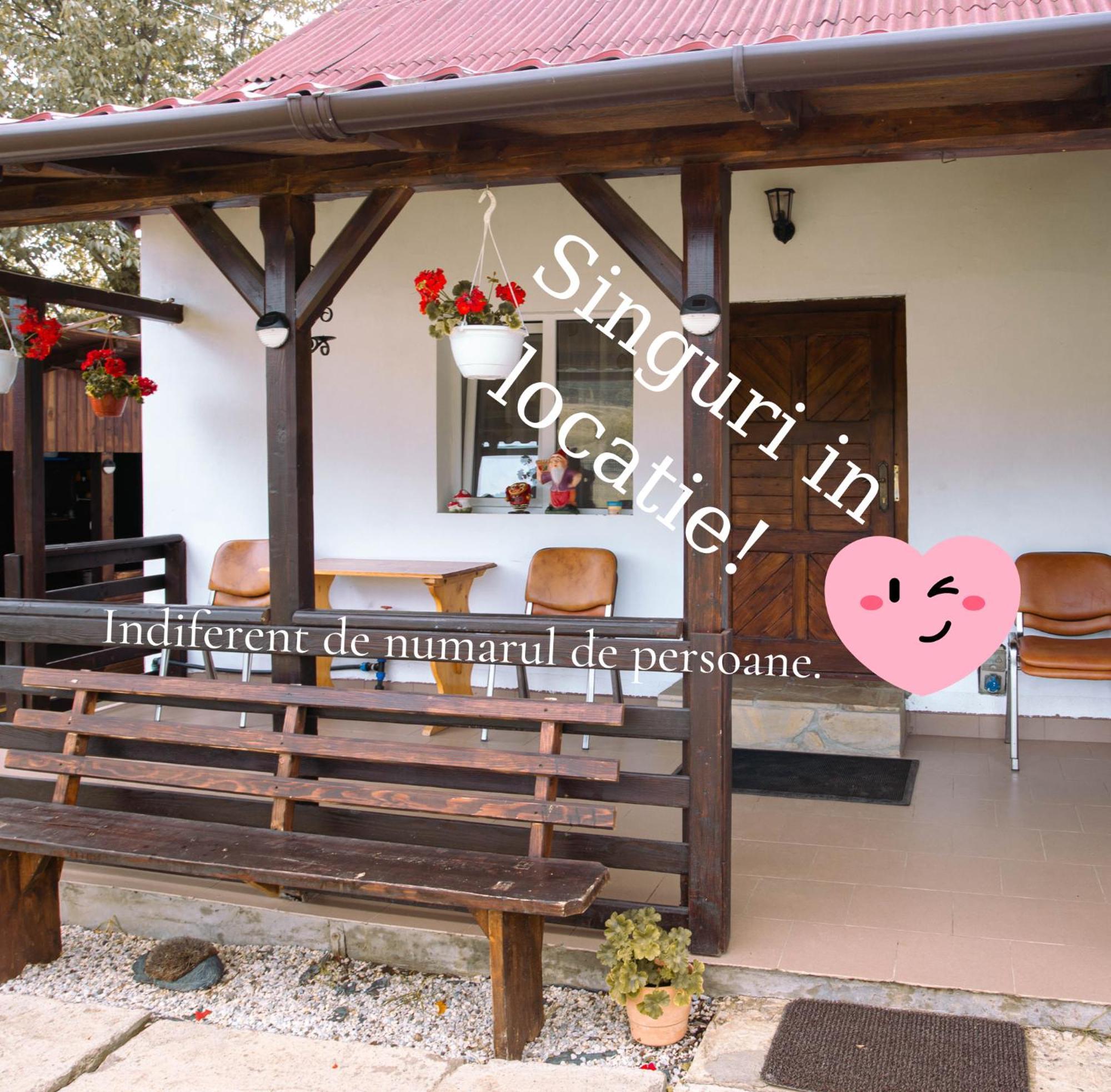 Casa De Vacanta Armi Molidu 外观 照片